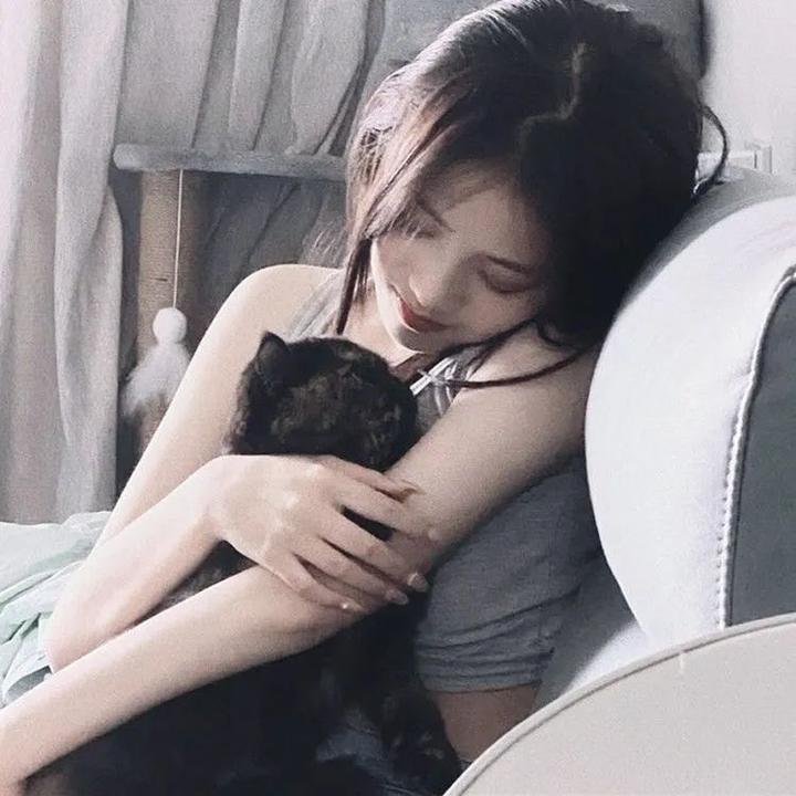 飞侠哥顿的终极冒险