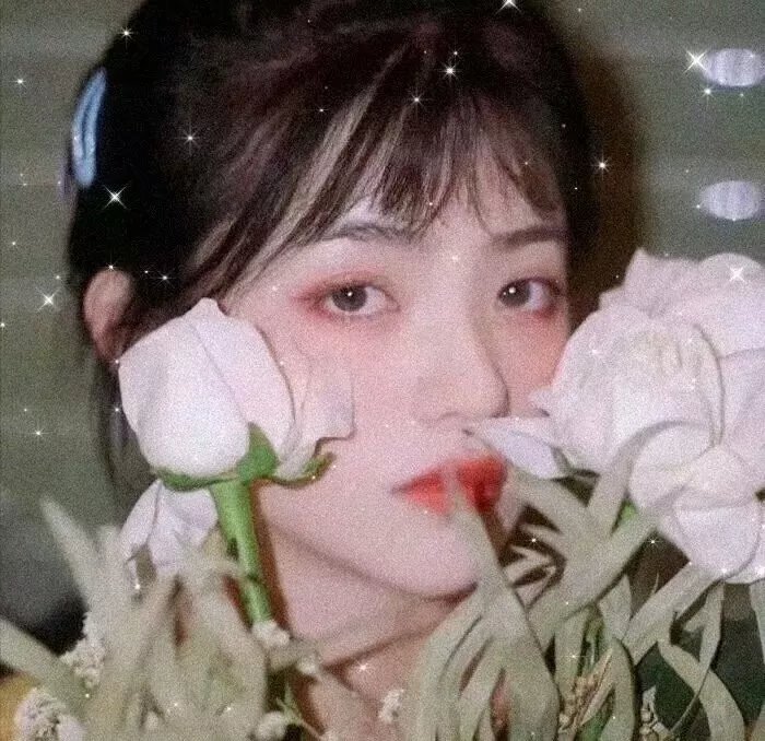 母狗